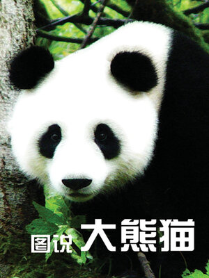 cover image of 图说大熊猫